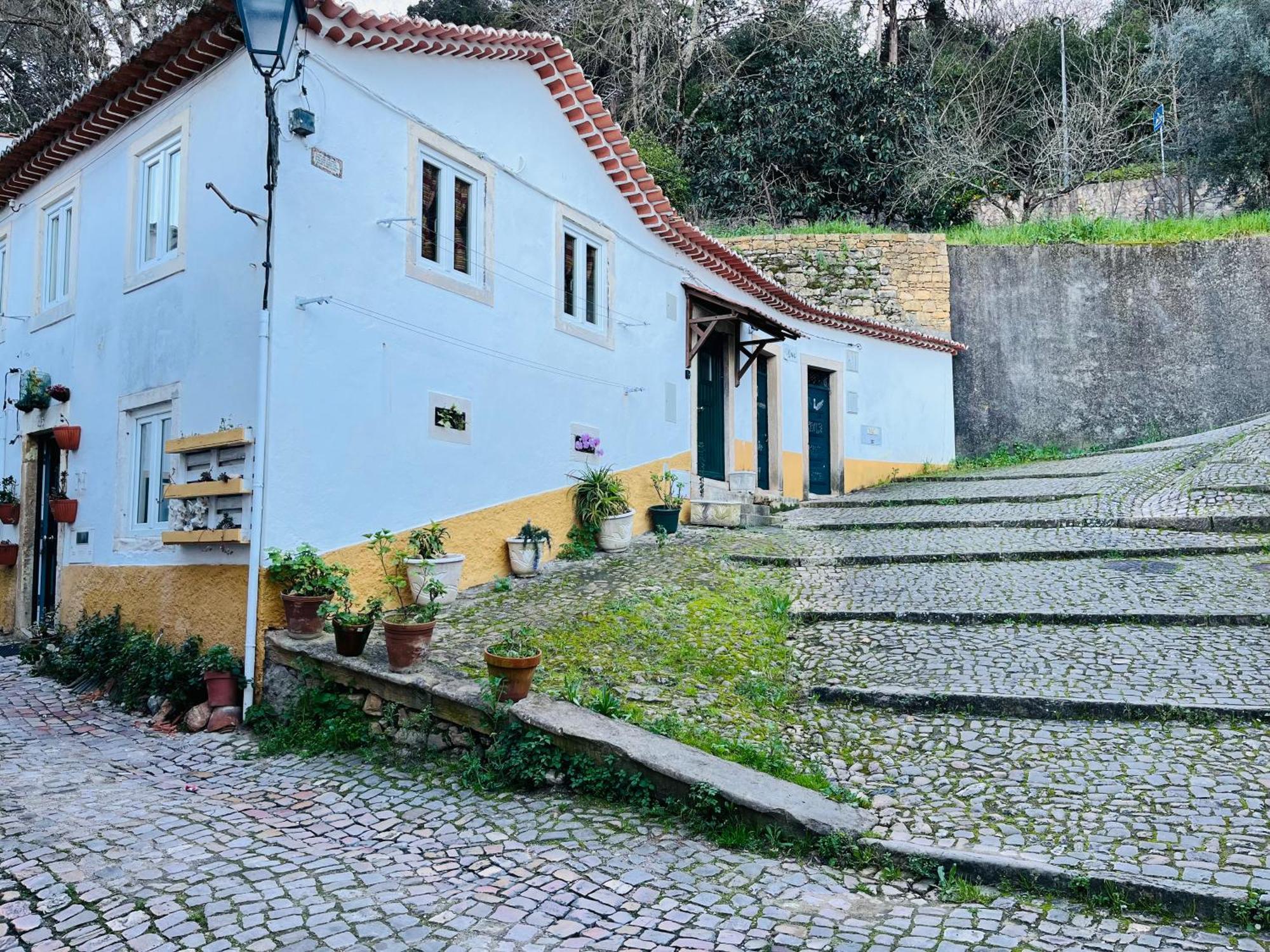 Villa Pe Do Castelo Casinha - Pet Friendly & Garage Tomar Exterior foto